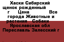 Хаски Сибирский (щенок рожденный 20.03.2017г.) › Цена ­ 25 000 - Все города Животные и растения » Собаки   . Ярославская обл.,Переславль-Залесский г.